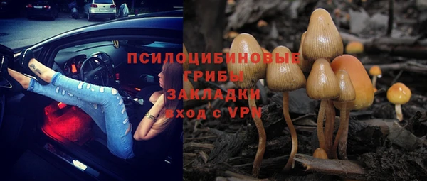 MESCALINE Новозыбков