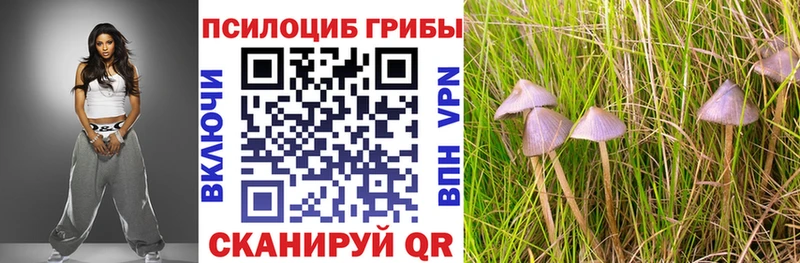 Галлюциногенные грибы GOLDEN TEACHER  блэк спрут рабочий сайт  Арсеньев 