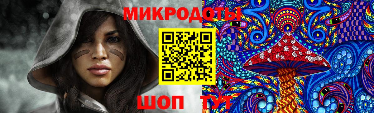 Псилоцибиновые грибы Psilocybe Арсеньев